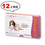 レボリューション 6% | 子犬子猫用 | 2.3kg以下 | 4箱