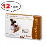 レボリューション 12% | 小型犬用 | 4.6〜9.1kg | 12本