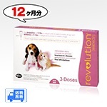 【ノミダニ駆除・フィラリア予防】レボリューション子犬子猫用(体重2.3kg以下)　4箱