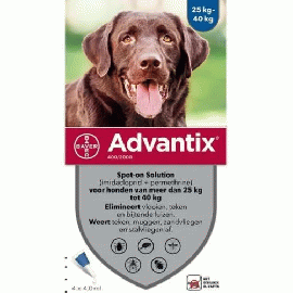 フォートレオン | アドバンティクス | 大型犬用 | 25kg以上 | 4本入
