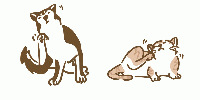 スキンケアジェル | 犬 | 猫 | 皮膚 | Hi-Q