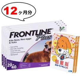 大型犬用 | ミルベマイシンA錠10とフロントラインプラスL 12ヶ月分セット