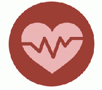 Heart Fight S | ハートファイト S | 心臓 | 褐藻 | サプリ | Hi-Q