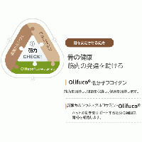 ジョイントフリー | Joint Free | 関節サポート | サプリ | Hi-Q Pet