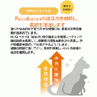 レノシールド | 腎臓 | サプリ | 褐藻 | Hi-Q Pet