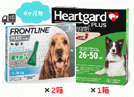 ハートガードプラスとフロントラインプラスセット | 中型犬 | M | 6ヶ月 | 分お得セット