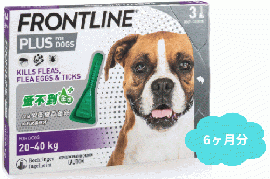 フロントラインプラス | 大型犬用 | 20〜40kg | 6本入