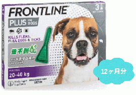 フロントラインプラス大型犬用(体重20〜40kg)　12本入