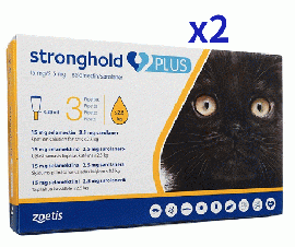 ストロングホールドプラス | 子猫 | 2.5kg以下 | 3本 | 2箱