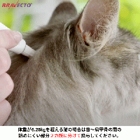 ブラベクトプラス | 2.8kg-6.25kg | 中型猫