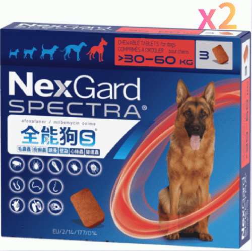 ネクスガードスペクトラ フィラリア予防とノミマダニ予防 超大型犬用 6