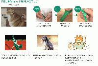 フロントラインプラス | 大型犬用 | 20〜40kg | 3本入