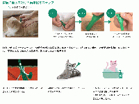 フロントラインプラス | 猫用 | 9本入