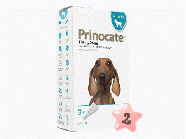プリノケート・中型犬用(>4-10kg)1ml3本 2箱