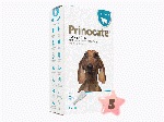 プリノケート・中型犬用(>4-10kg)1ml3本 3箱