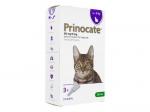 プリノケート・猫用(>4-8kg)0.8ml3本 1箱
