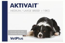 アクティベート | AKTIVAIT | 中型犬用 | 大型犬 |脳 | シニア|60錠