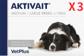 アクティベート | AKTIVAIT | 中型犬用 | 大型犬 |脳 | シニア|60錠x3箱