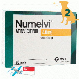 ヌメルビ 4.8mg 30x2箱 | アチンビシチニブ | 犬| 皮膚炎 | かゆみ | 炎症