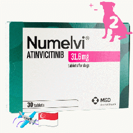 ヌメルビ 31.6mg 30錠x2箱 | アチンビシチニブ | 犬| 皮膚炎 | かゆみ | 炎症