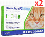 ストロングホールドプラス | 猫用 | 5-10kg | 3本 | 2箱