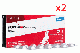 フォルテコール 20mg |14錠 | 犬 | 20-80kg | 2箱