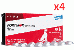 フォルテコール 20mg |14錠 | 犬 | 20-80kg | 4箱