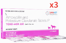 トキソモックス250 | 200mg+50mg | 10錠x3| ペニシリン | 抗生物質 | 犬