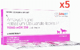 トキソモックス250 | 200mg+50mg | 10錠x5| ペニシリン | 抗生物質 | 犬