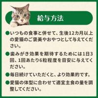 猫用 グリニーズ グリルチキン・西洋マタタビ風味 (キャットニップ) 60g |歯みがき専用スナック