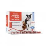 アンチノール プラス|60錠|犬用|関節|皮膚|被毛|心血管|腎臓|脳