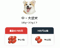 アンチノールプラス|120錠|犬用|関節|皮膚|被毛|心血管|腎臓|脳