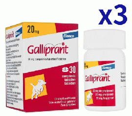 ガリプラント 20mg 30錠x3箱 | 骨関節炎治療 | EP4 | 選択的拮抗薬 | 消炎鎮痛剤