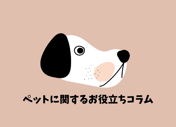 ペットのお役立ちコラム バナー