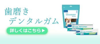 口・歯のケア