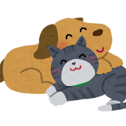 仲良し犬猫