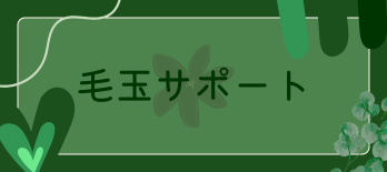 毛玉サポート
