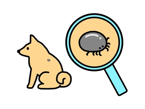 マダニのイラスト