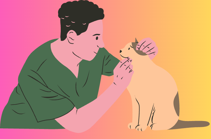 犬猫の認知障害