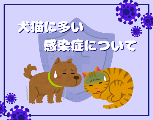 感染症予防のイラスト