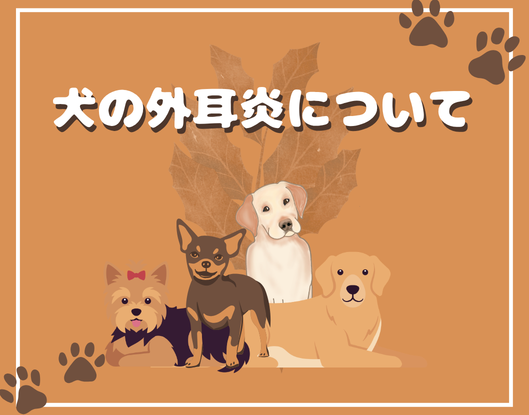 犬の外耳炎のイラスト