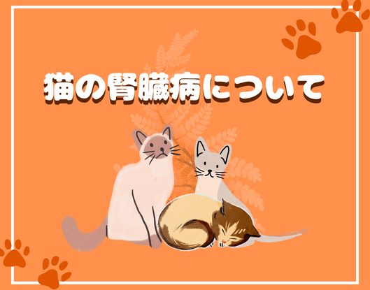 猫の腎臓病のイラスト