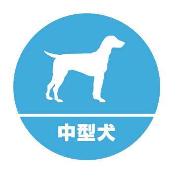 フィラリア予防薬通販犬用